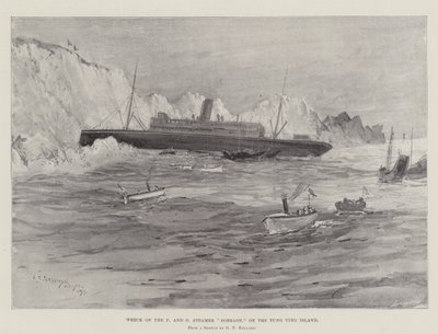 Wreck of the P and O Steamer Sobraon, on the Tung Ying Island by Henry Charles Seppings Wright